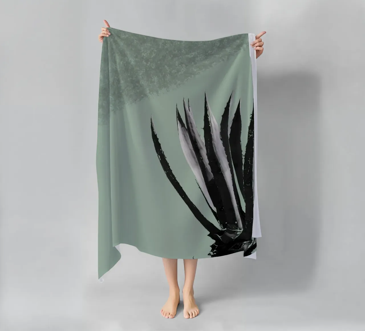 Cactus telo mare da Studio Driver