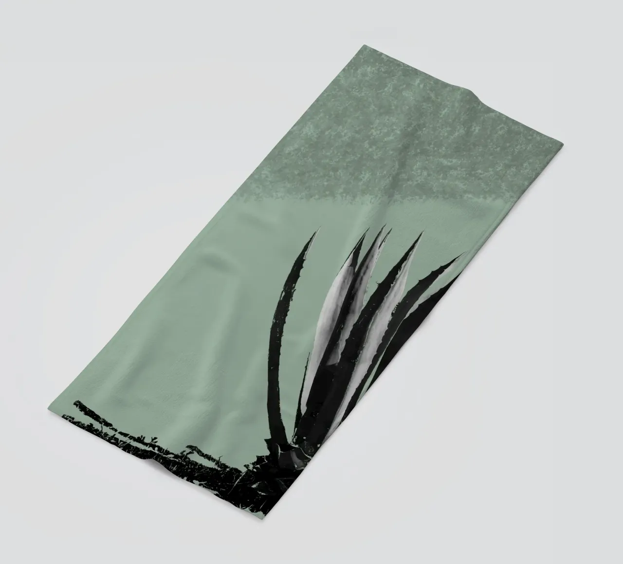 Cactus telo mare da Studio Driver