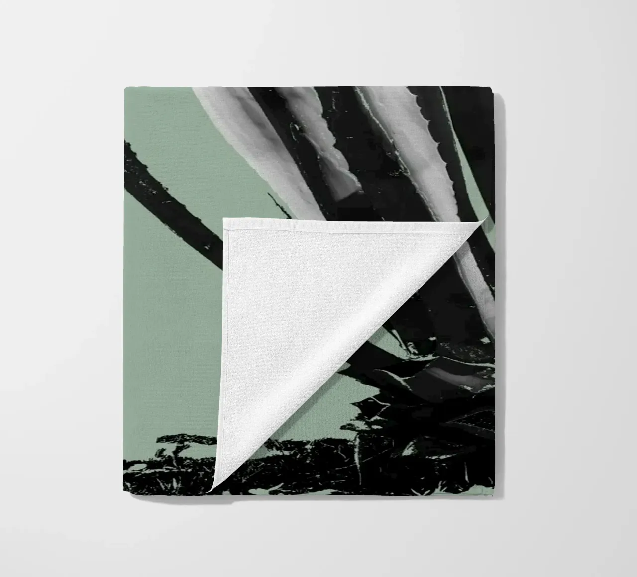 Cactus telo mare da Studio Driver