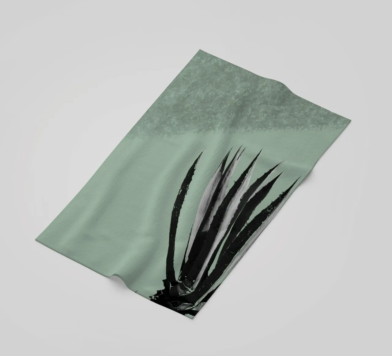 Cactus telo mare da Studio Driver