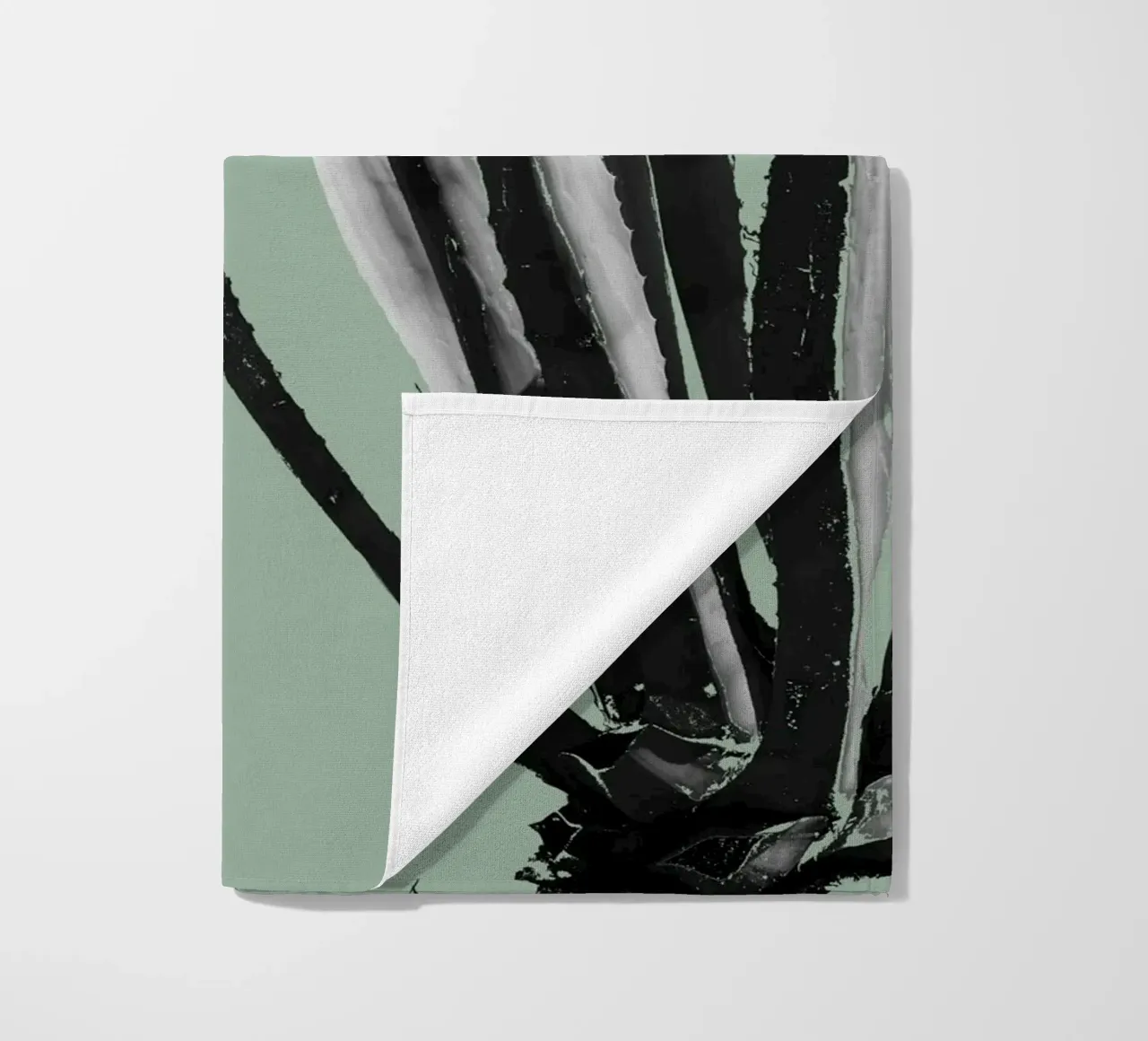 Cactus telo mare da Studio Driver