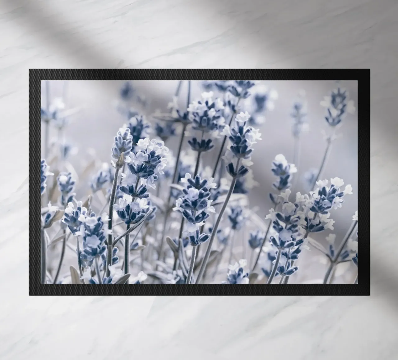 Lavanda zerbino da Atteloi