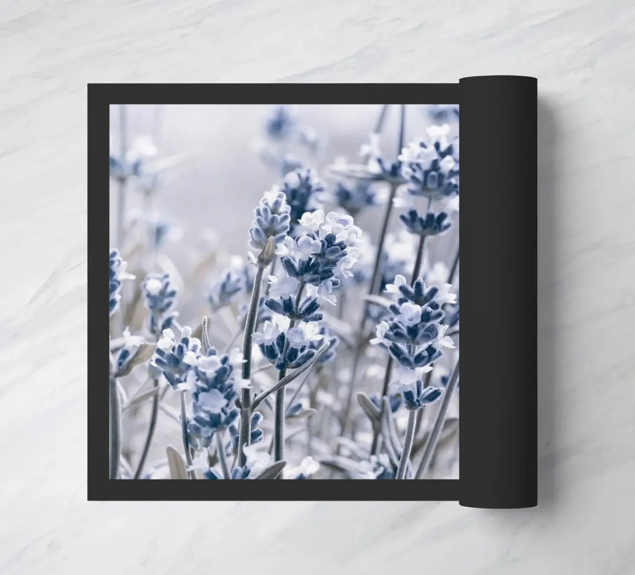 Lavanda zerbino da Atteloi