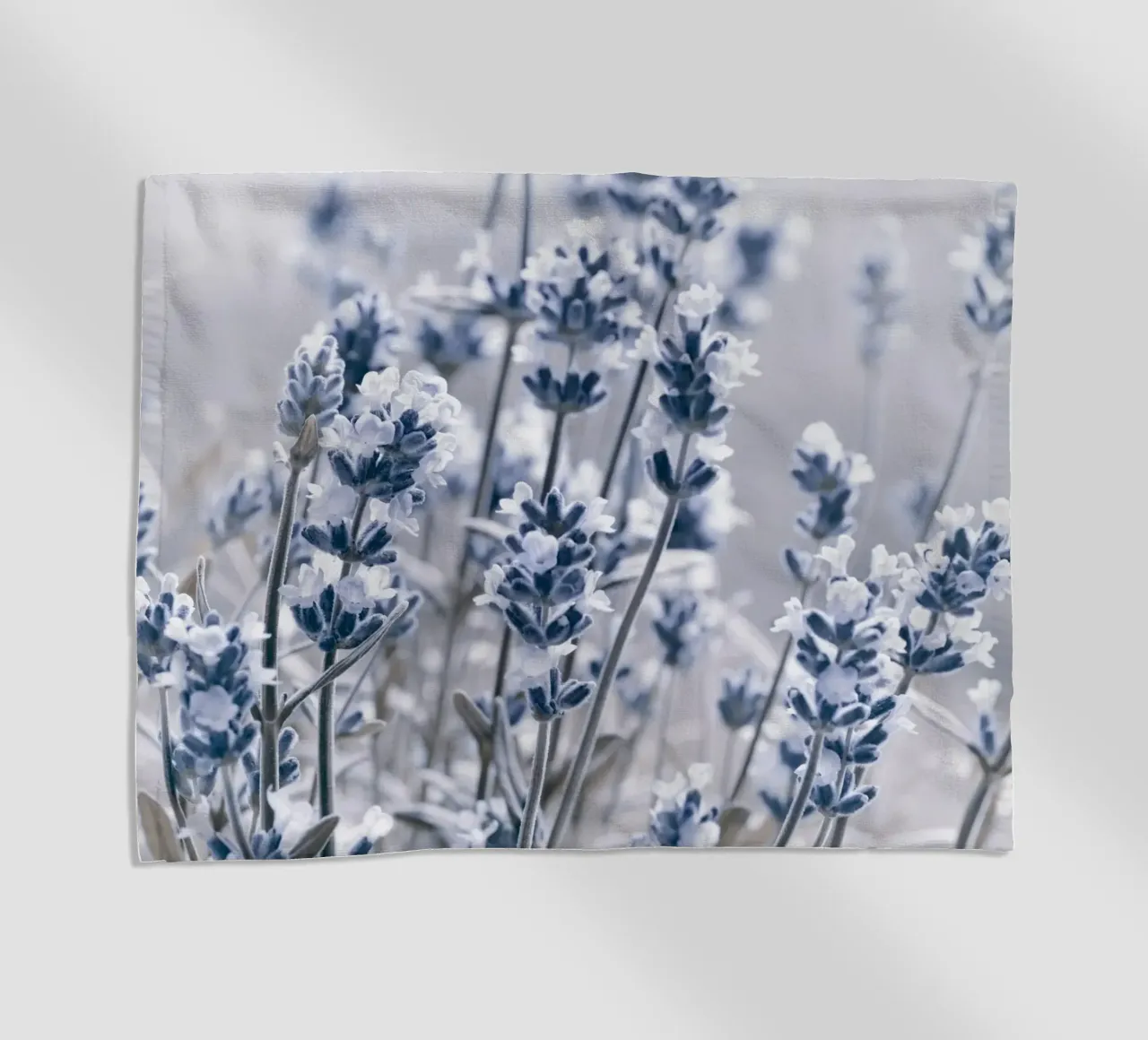 Lavanda telo mare da Atteloi