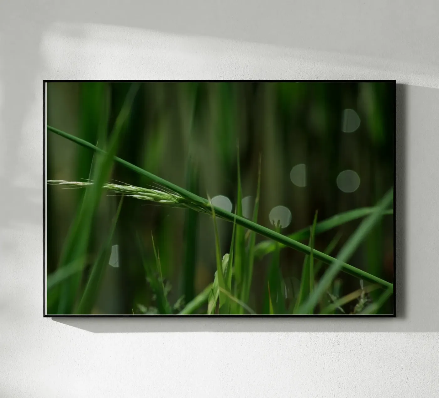 Green grass Acryl-Glas von Inge Hauser Illustration