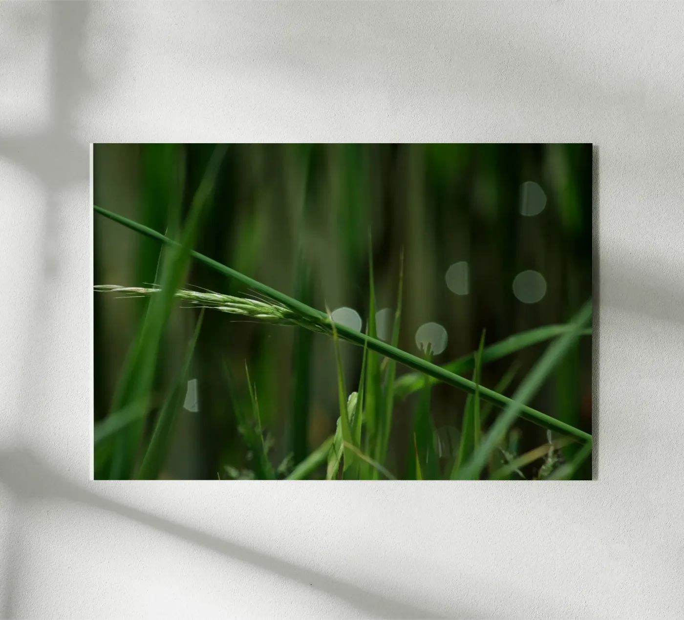 Green grass Acryl-Glas von Inge Hauser Illustration