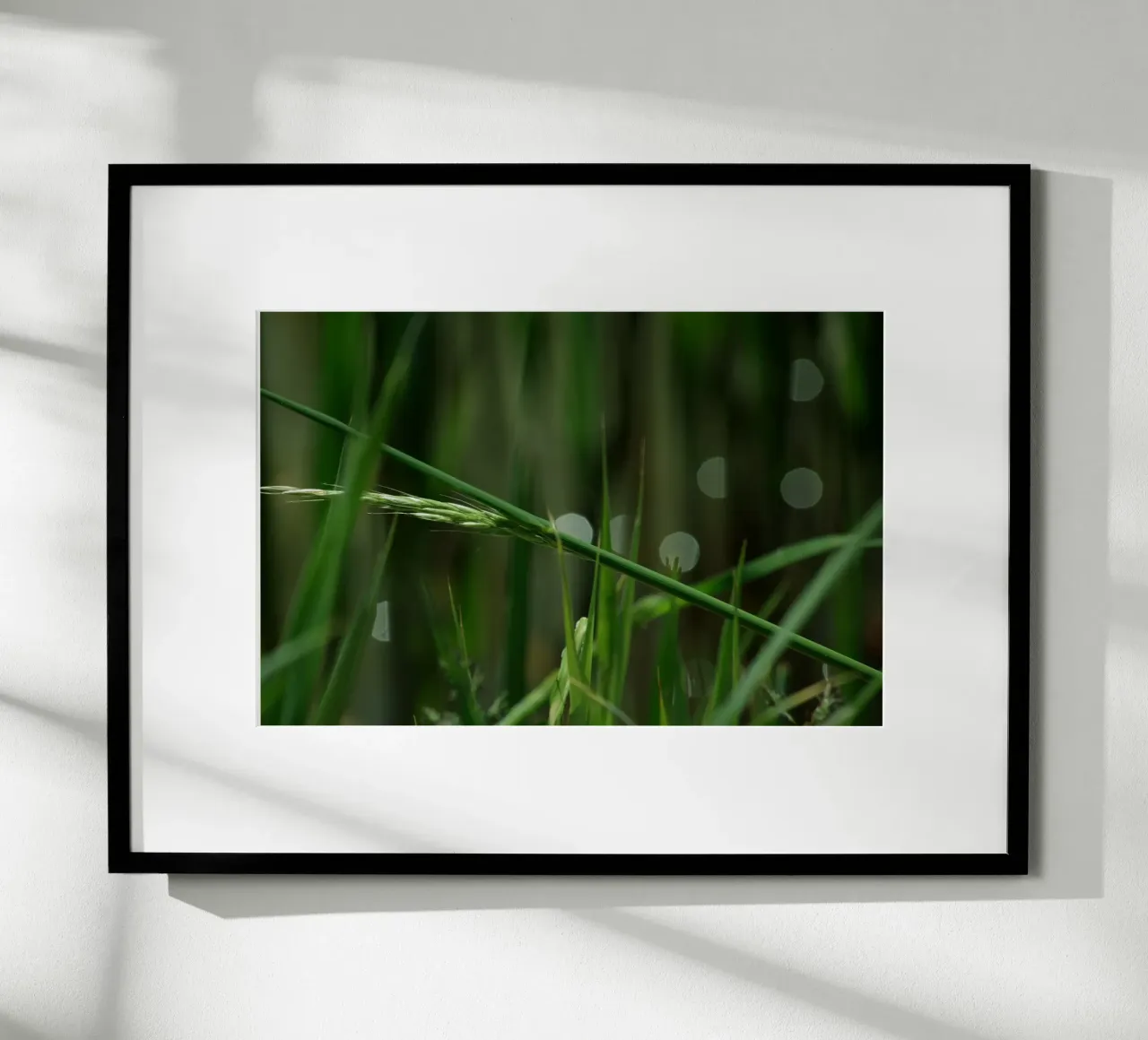 Erba verde poster da Inge Hauser Illustration