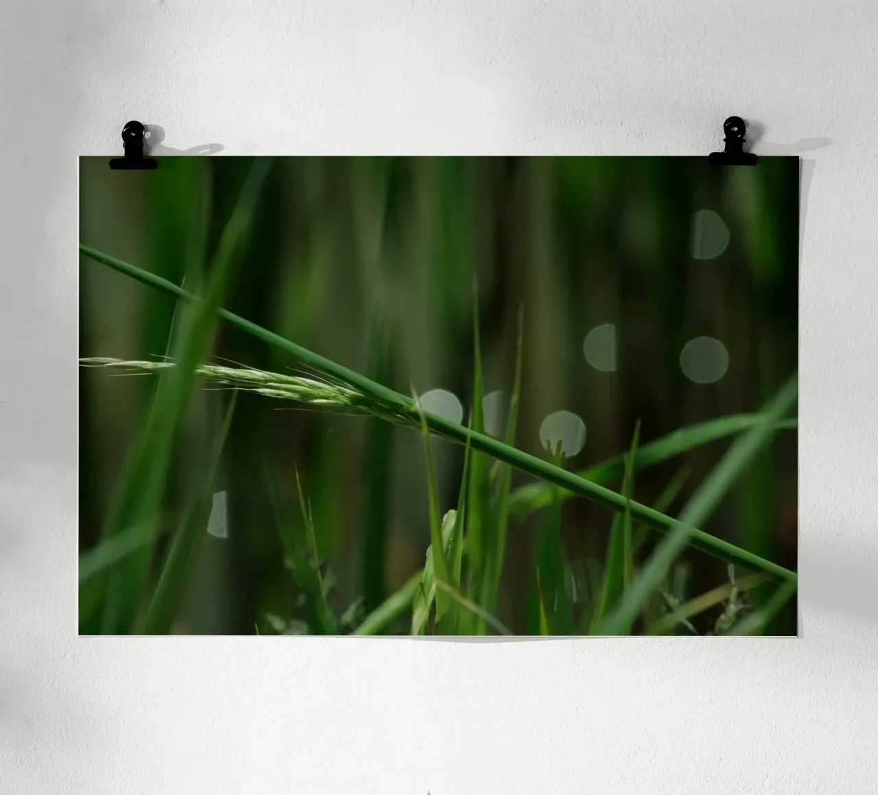 Erba verde poster da Inge Hauser Illustration