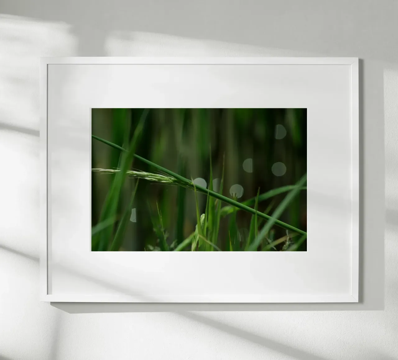 Erba verde poster da Inge Hauser Illustration