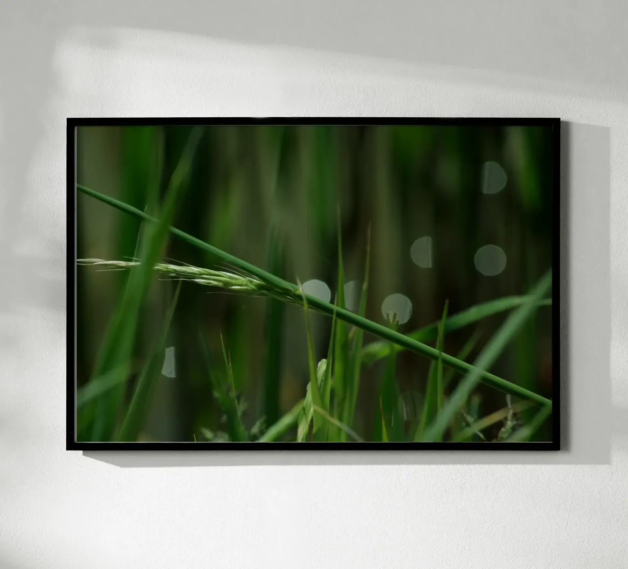 Erba verde poster da Inge Hauser Illustration