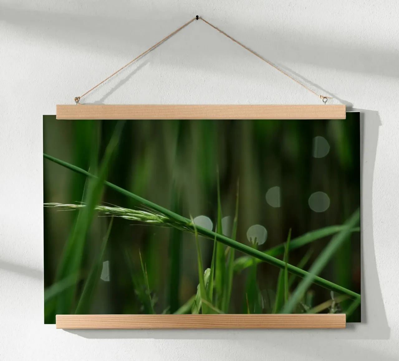 Erba verde poster da Inge Hauser Illustration