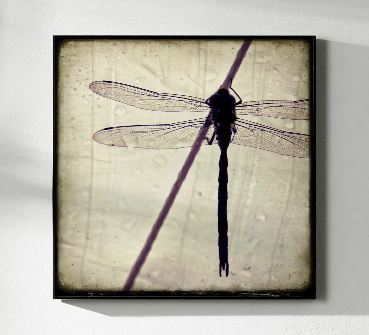 FlugPause plexiglass da stine wiemann