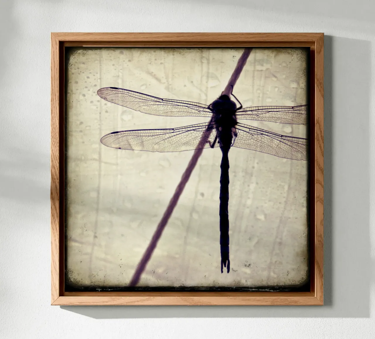 FlugPause pannello forex da stine wiemann