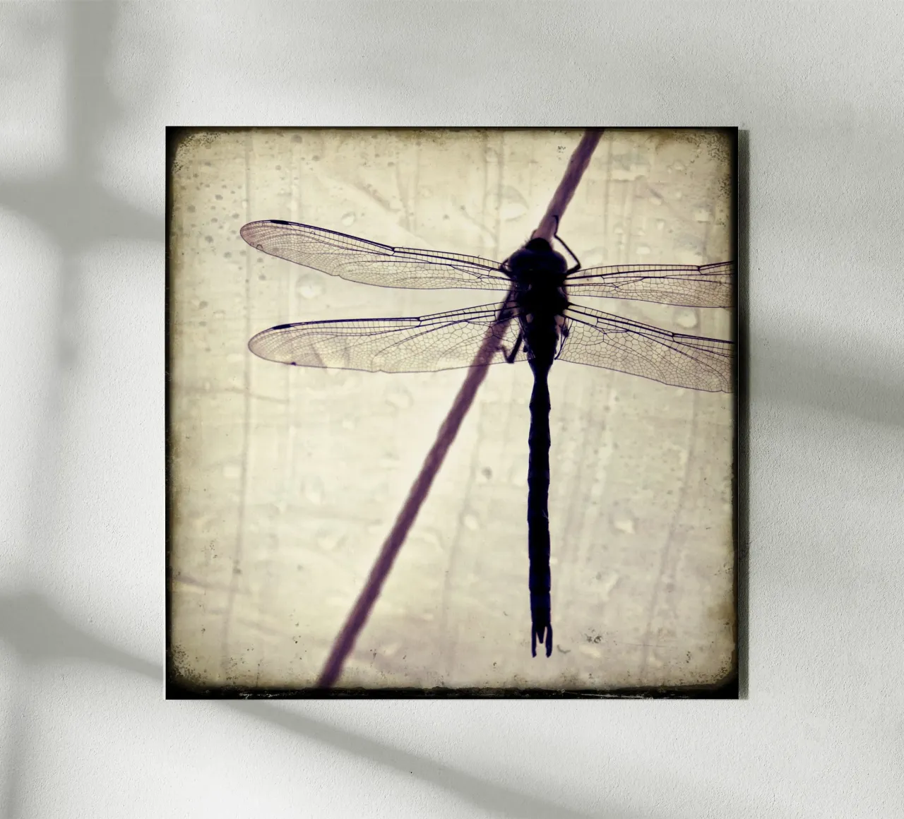 FlugPause forex plate by stine wiemann