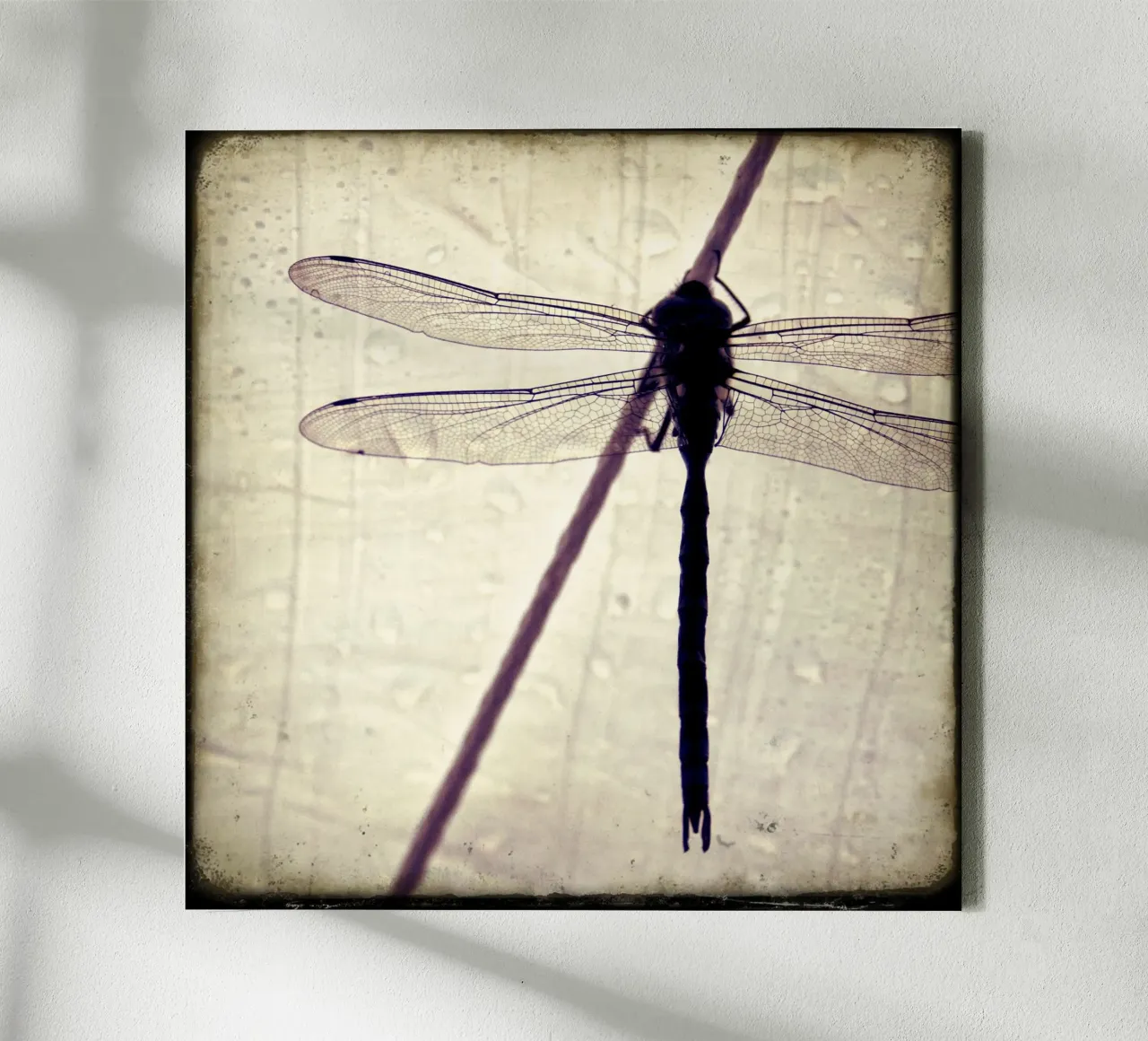 FlugPause tela da stine wiemann