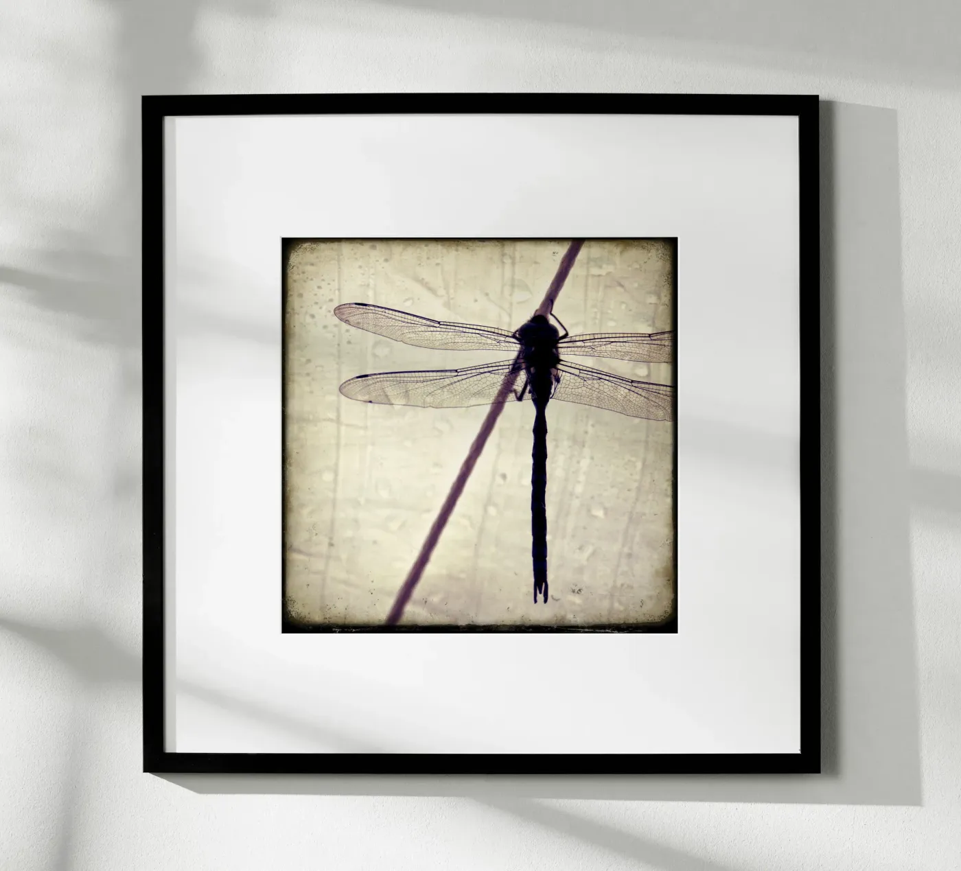 FlugPause Poster von stine wiemann