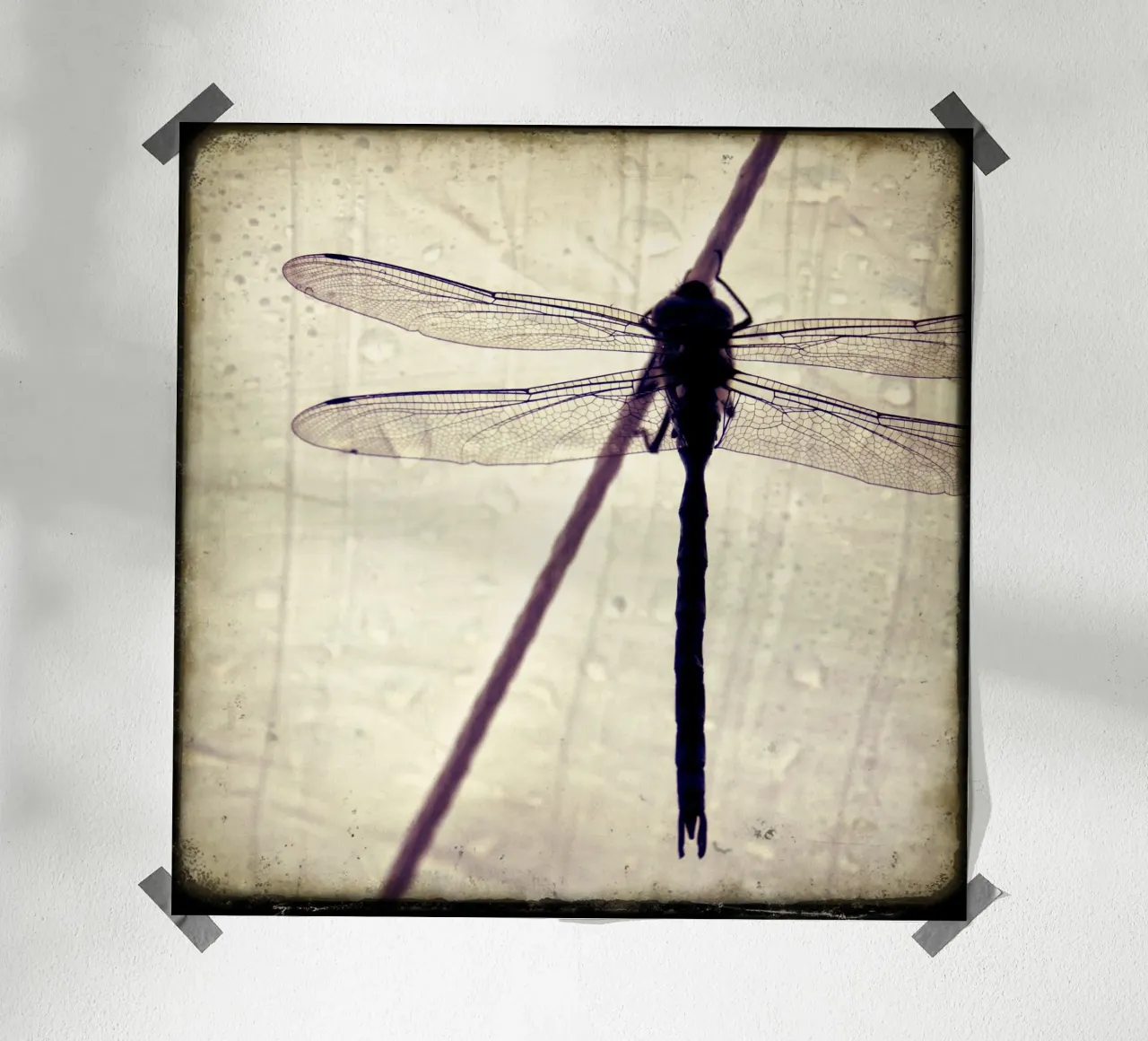 FlugPause poster van stine wiemann