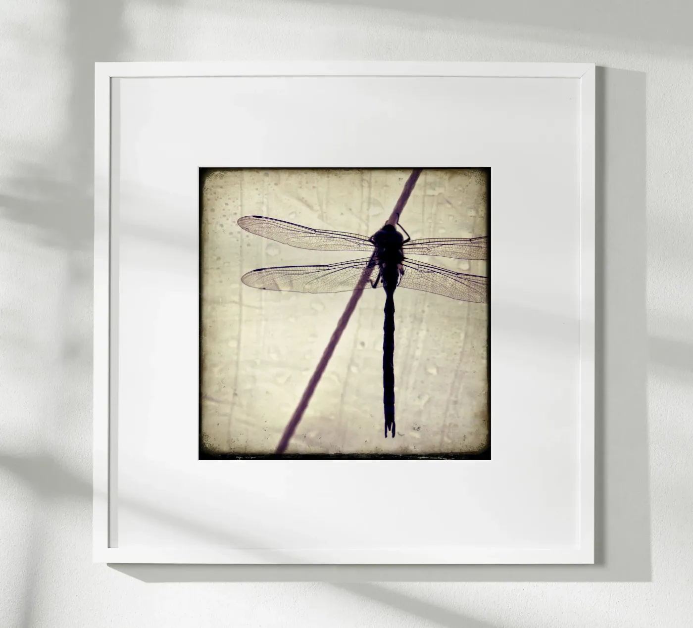 FlugPause Poster von stine wiemann