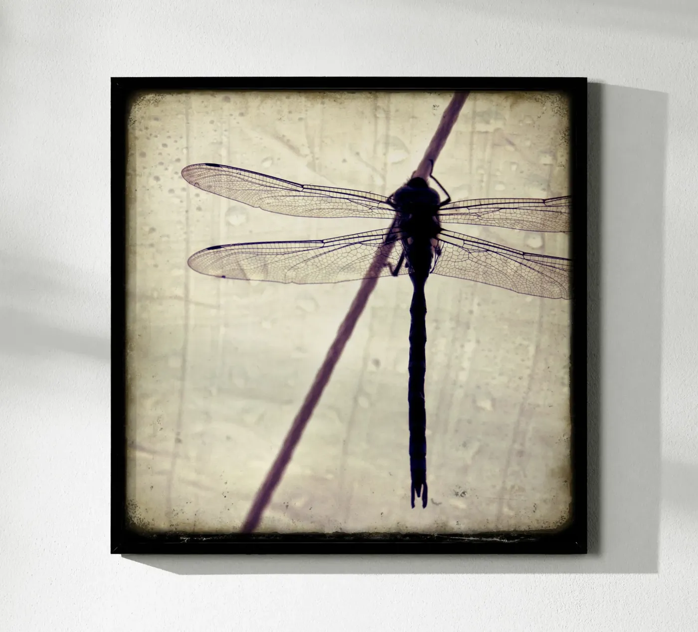 FlugPause Poster von stine wiemann