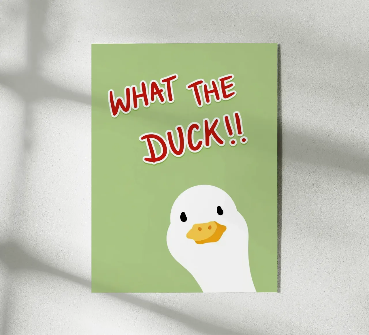 che cavolo plexiglass da Ramanda