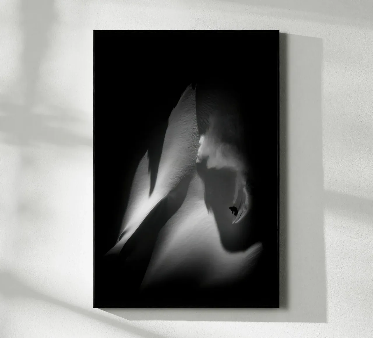 Sci freeride 105 plexiglass da Retro's Legend