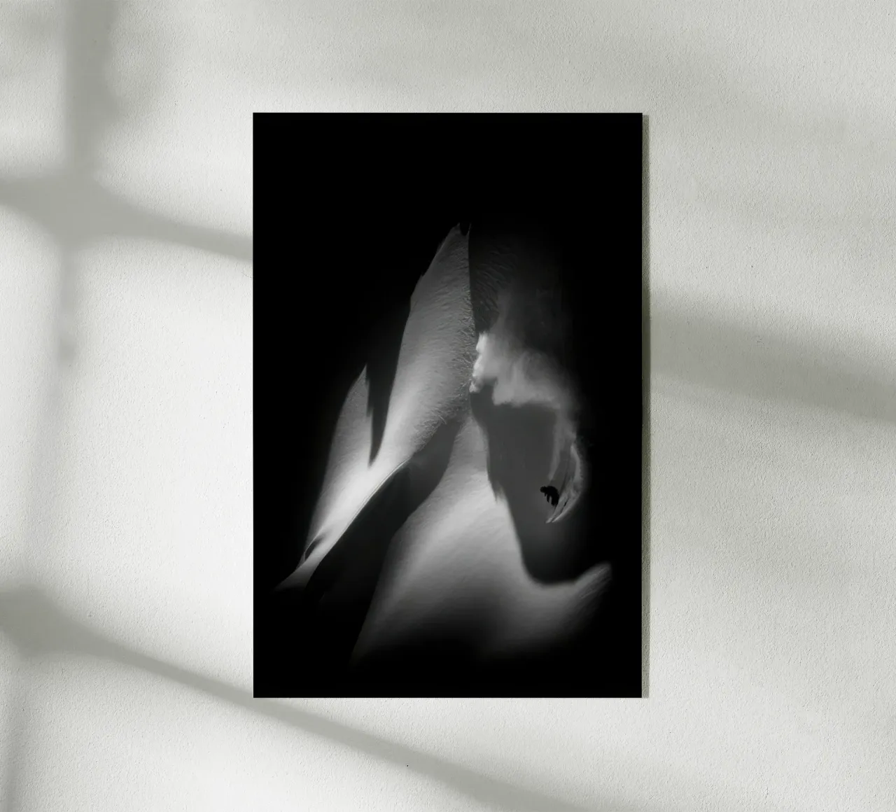 Sci freeride 105 plexiglass da Retro's Legend