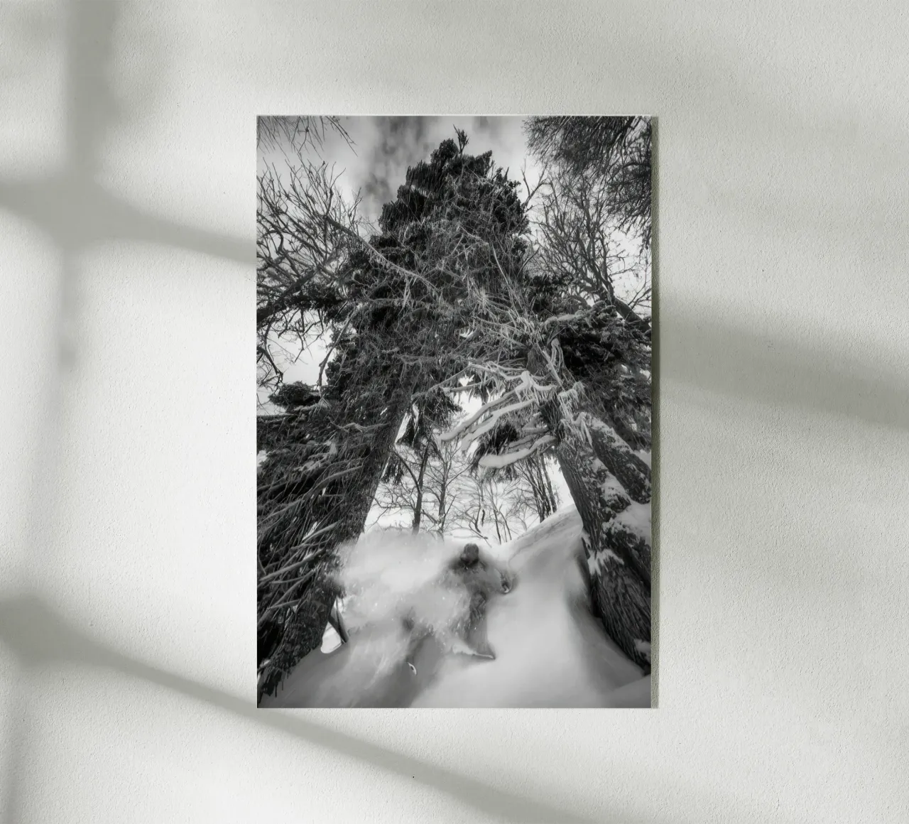 Sci freeride 108 plexiglass da Retro's Legend