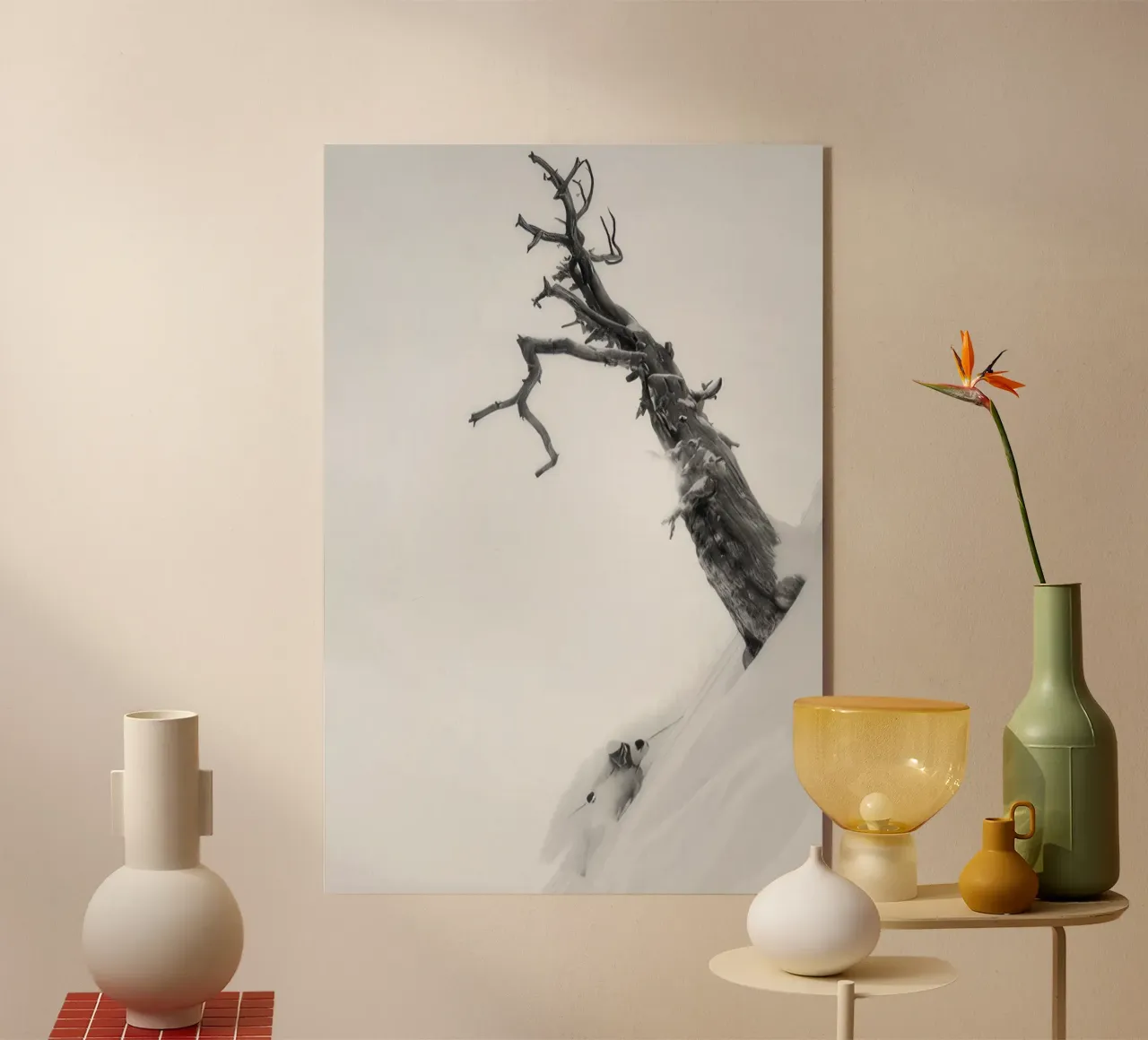 Sci freeride 120 plexiglass da Retro's Legend