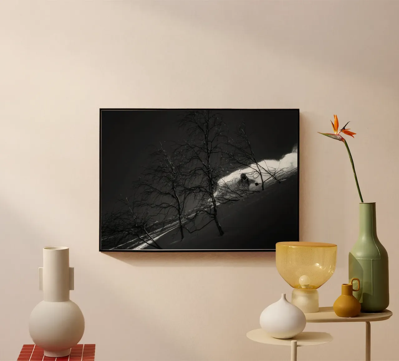 SCI FREERIDE 74 plexiglass da Retro's Legend