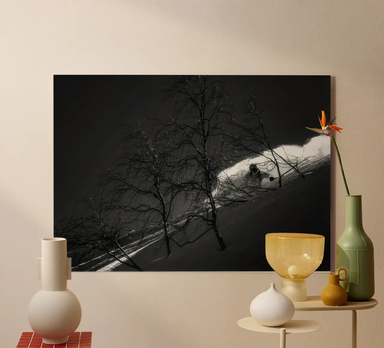 SCI FREERIDE 74 plexiglass da Retro's Legend