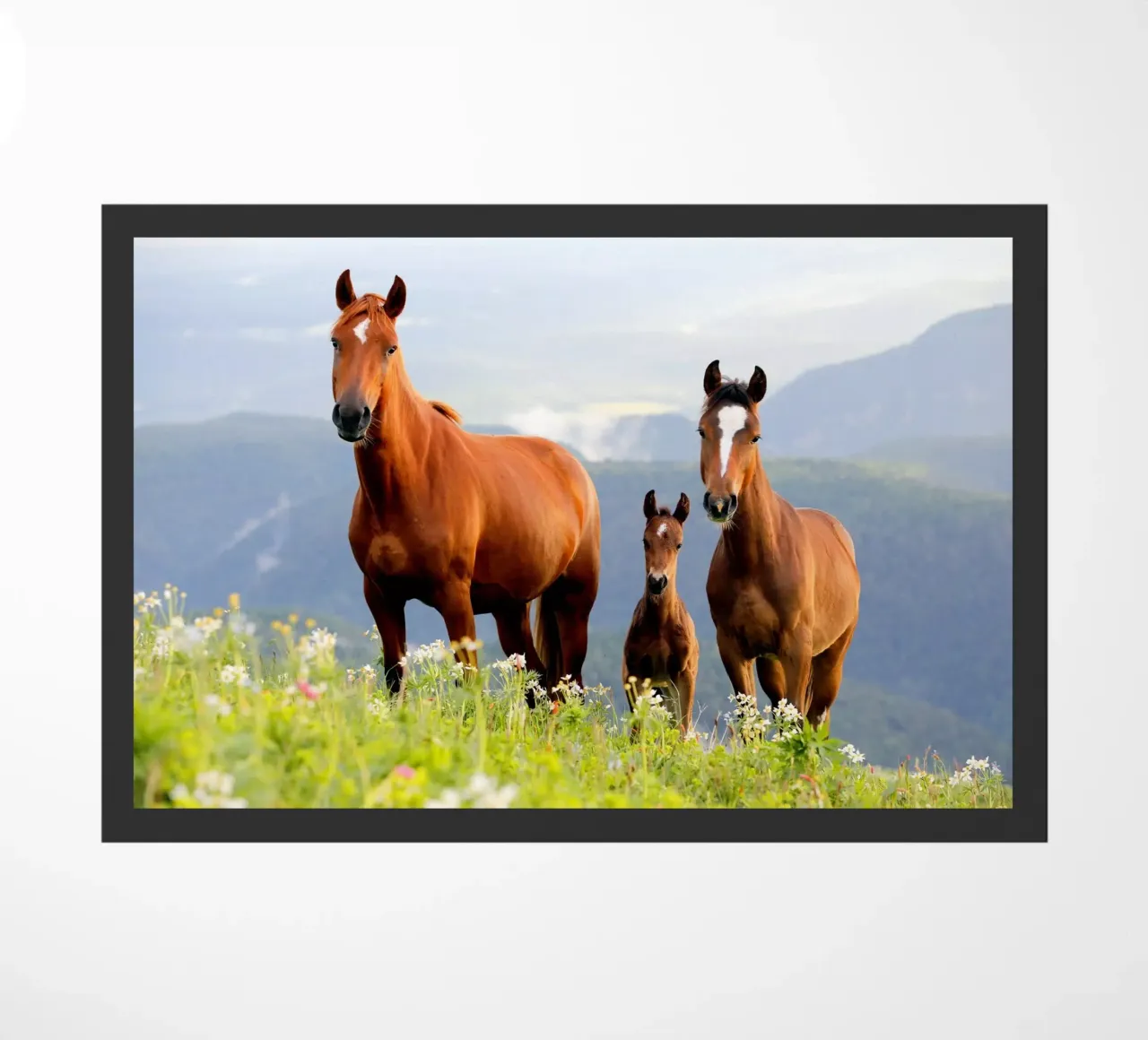 Drie paarden deurmat van Alexey