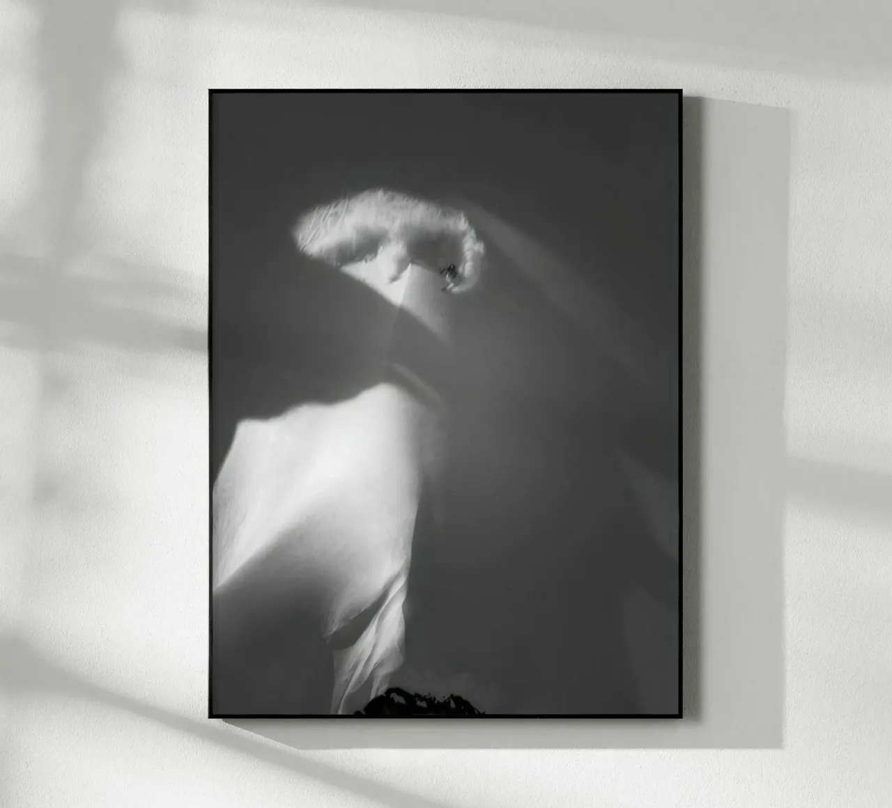 SCI FREERIDE 117 plexiglass da Retro's Legend