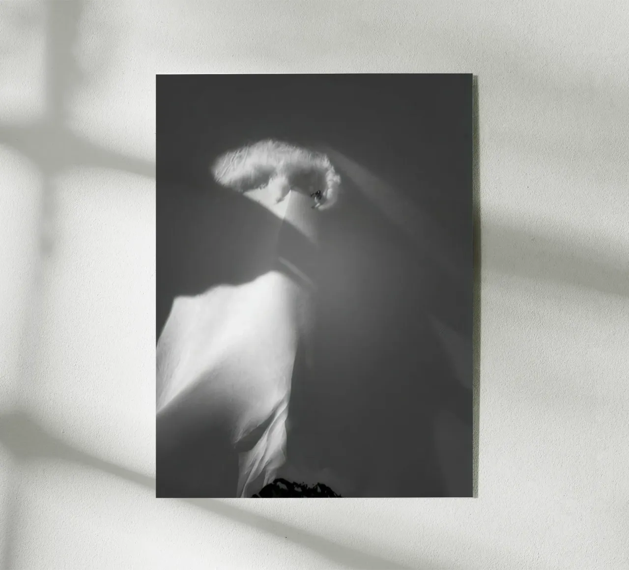 SCI FREERIDE 117 plexiglass da Retro's Legend