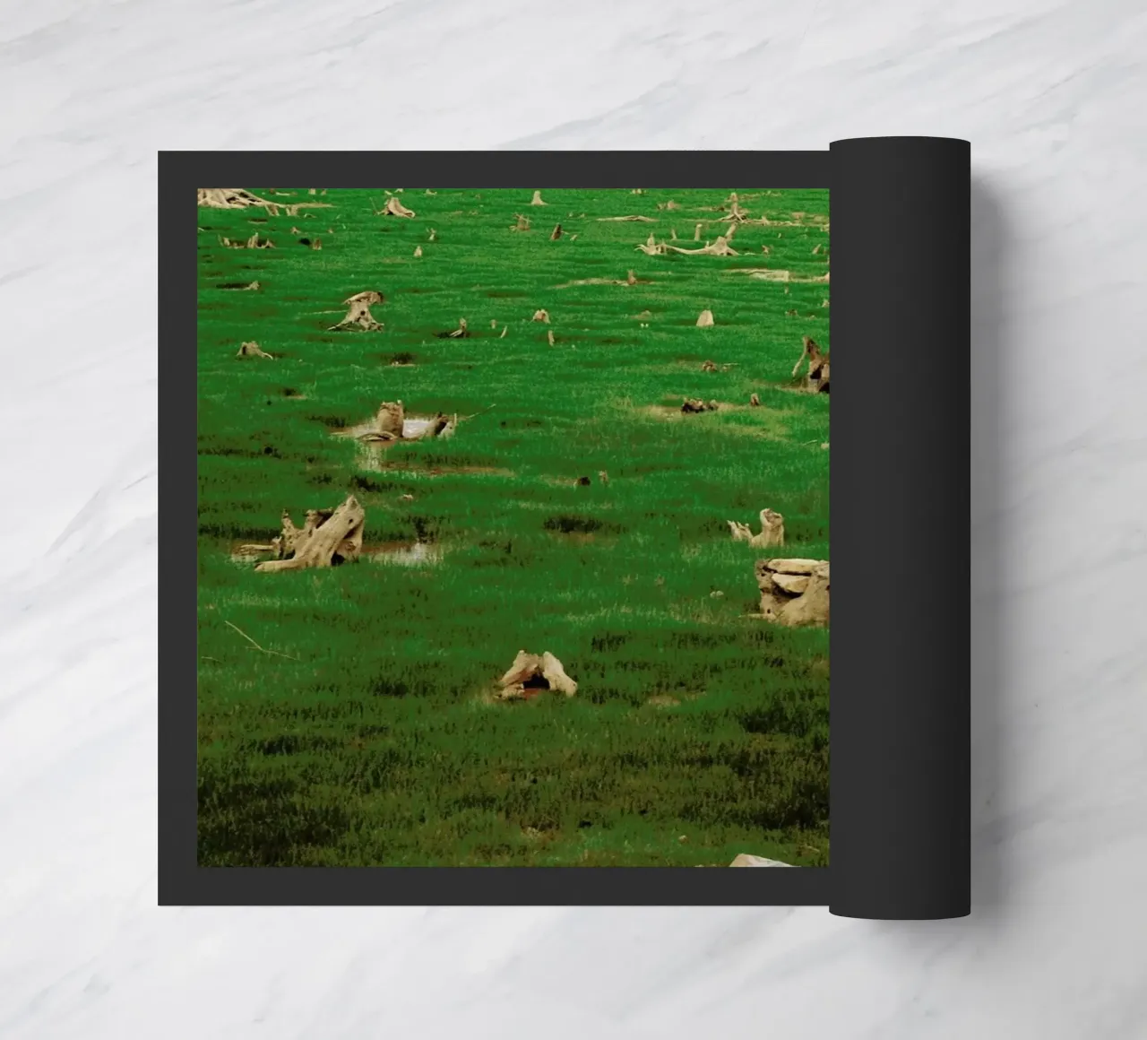 Shortage zerbino da Dani L.