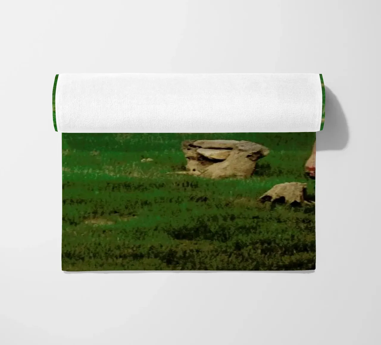 Shortage telo mare da Dani L.