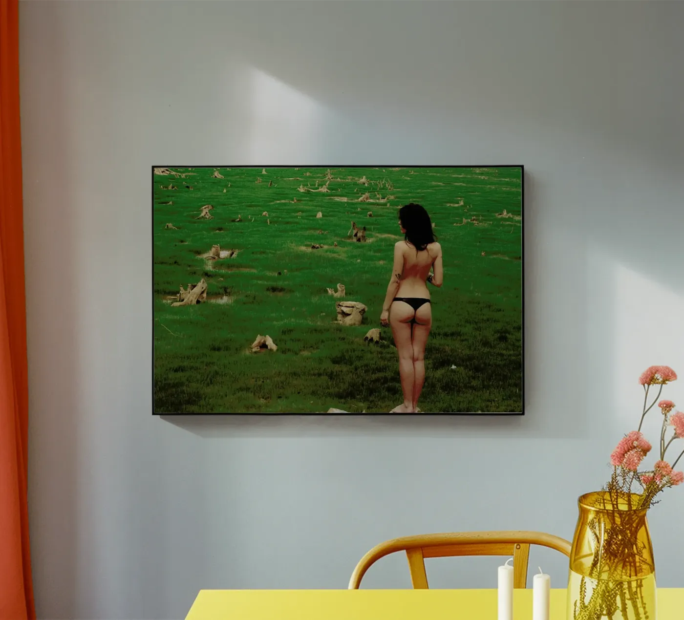 Shortage plexiglas de Dani L.