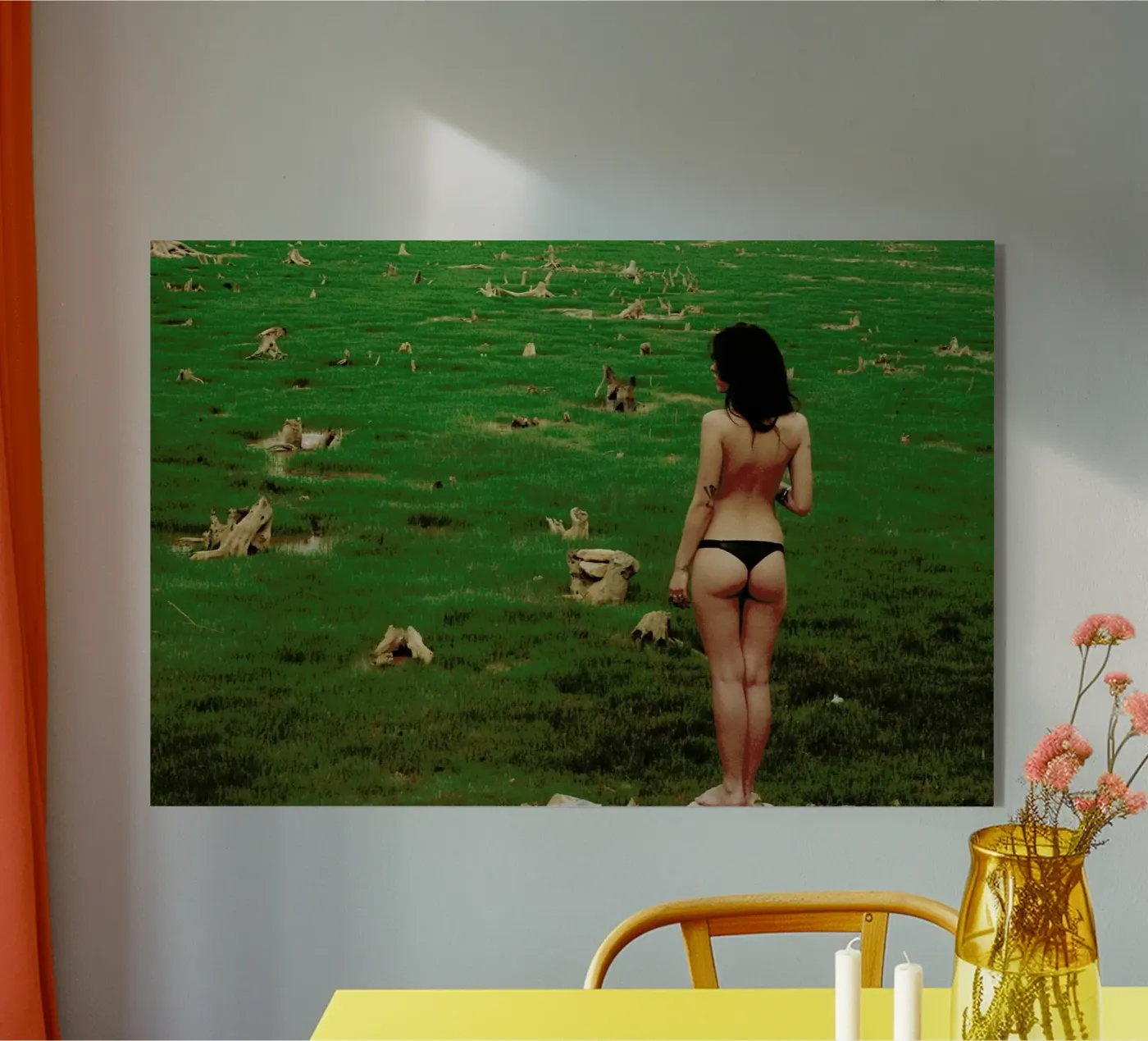 Shortage plexiglas de Dani L.