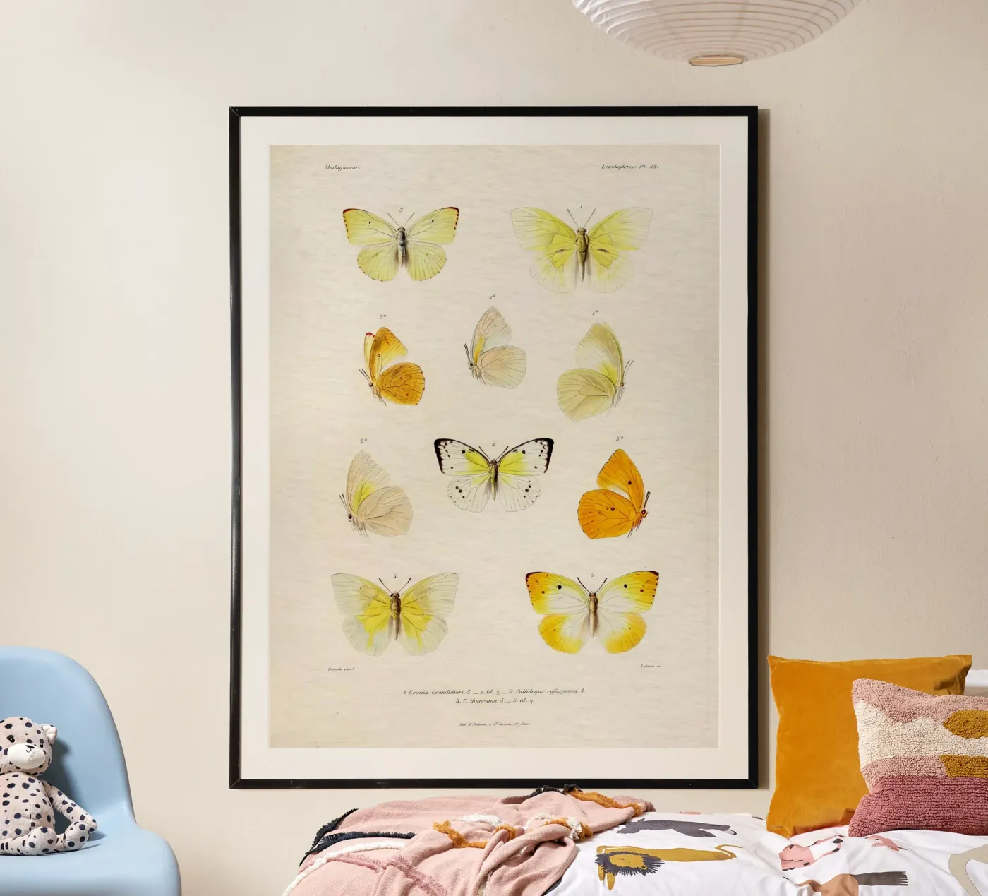 Like Butta #654 poster da vintagebotanics