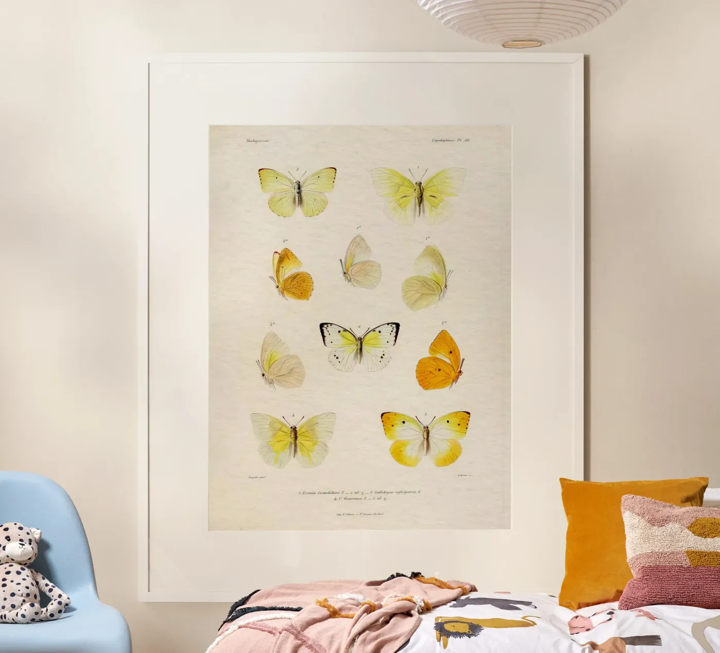 Like Butta #654 poster da vintagebotanics