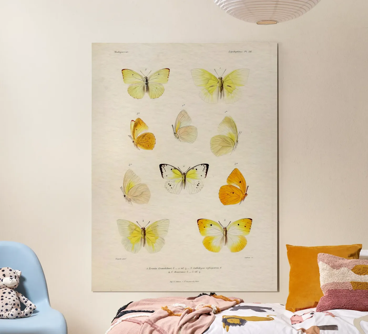 Like Butta #654 poster da vintagebotanics
