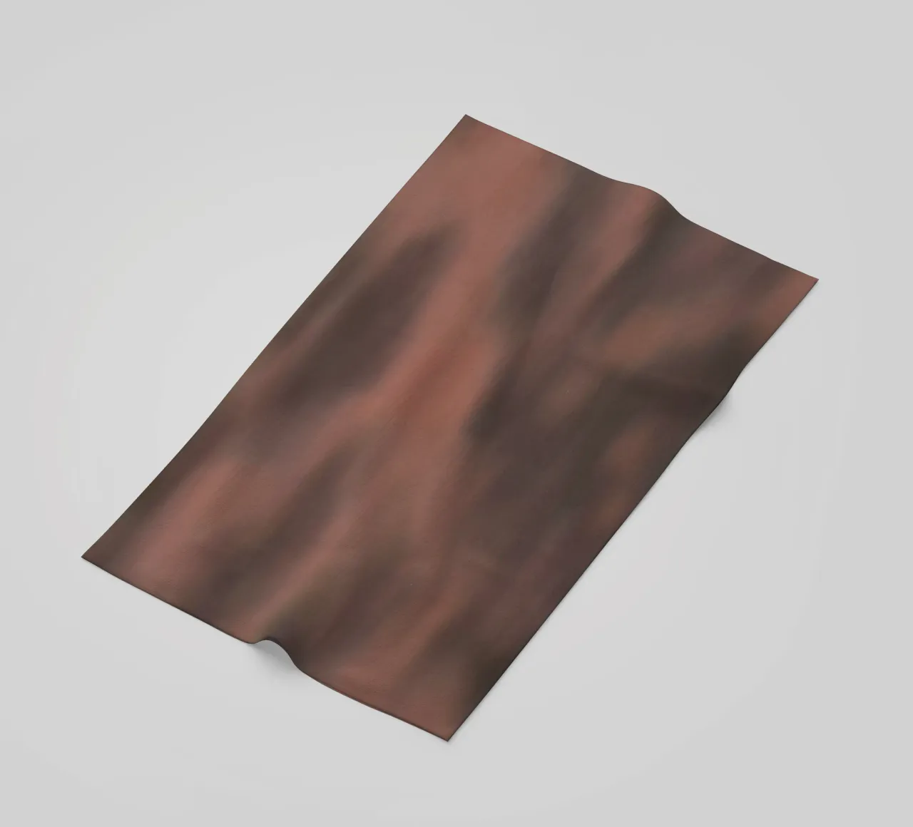 Animal telo mare da Studio B