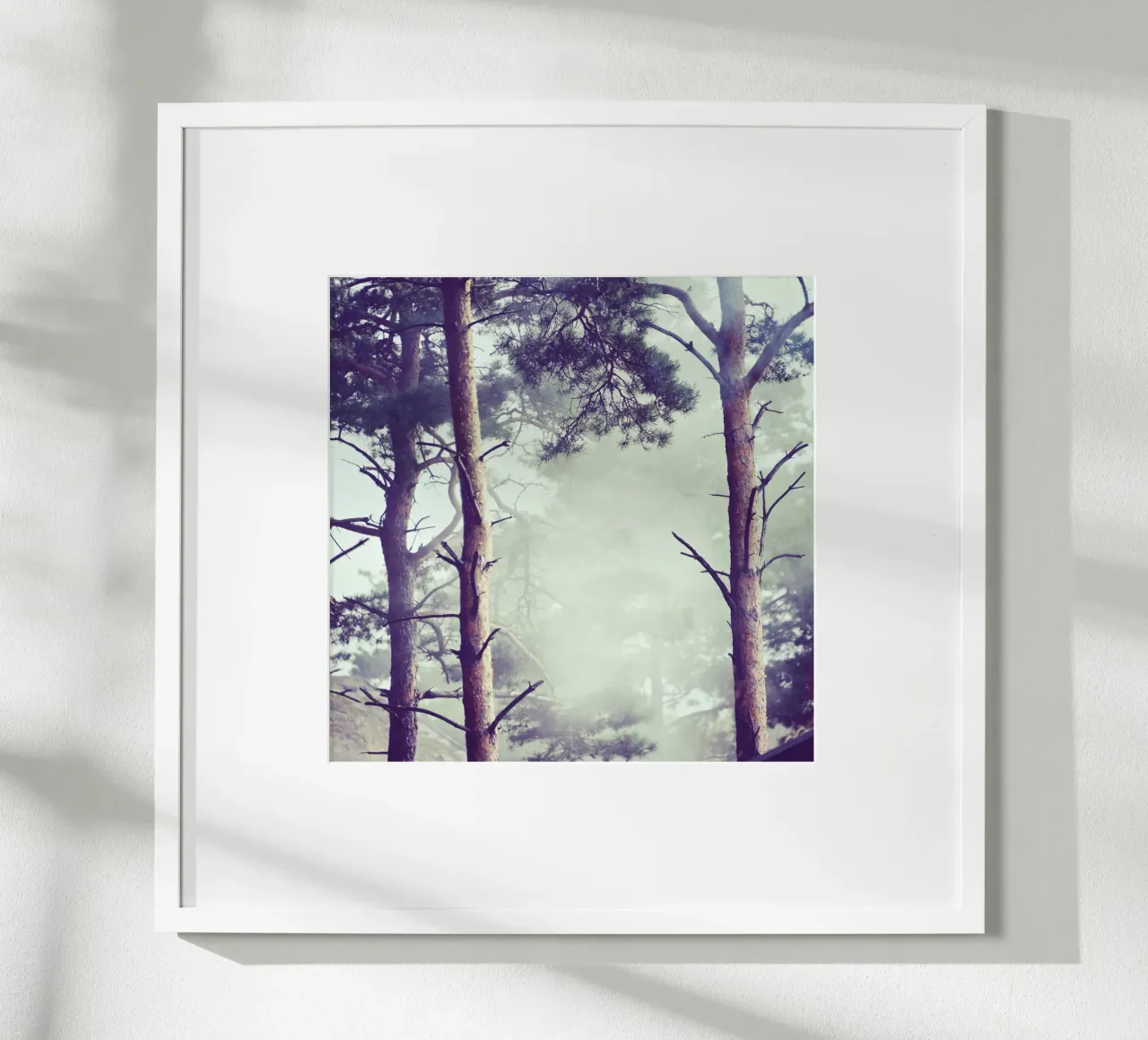 NebelWald - Dänemark Poster mit Holzrahmen von stine wiemann