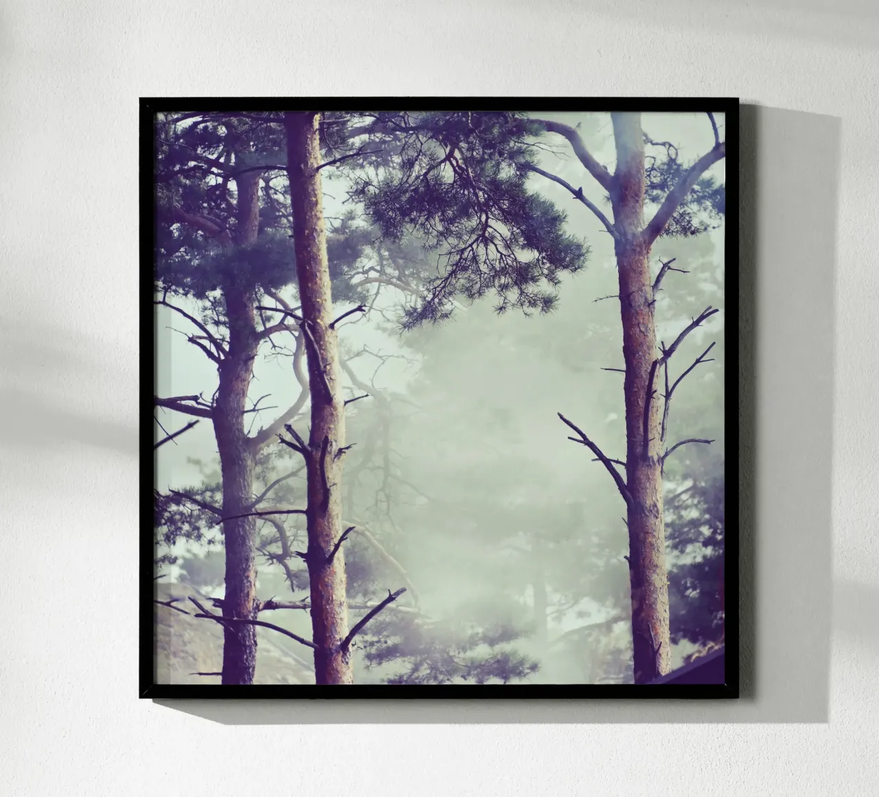 NebelWald - Dänemark Poster mit Holzrahmen von stine wiemann