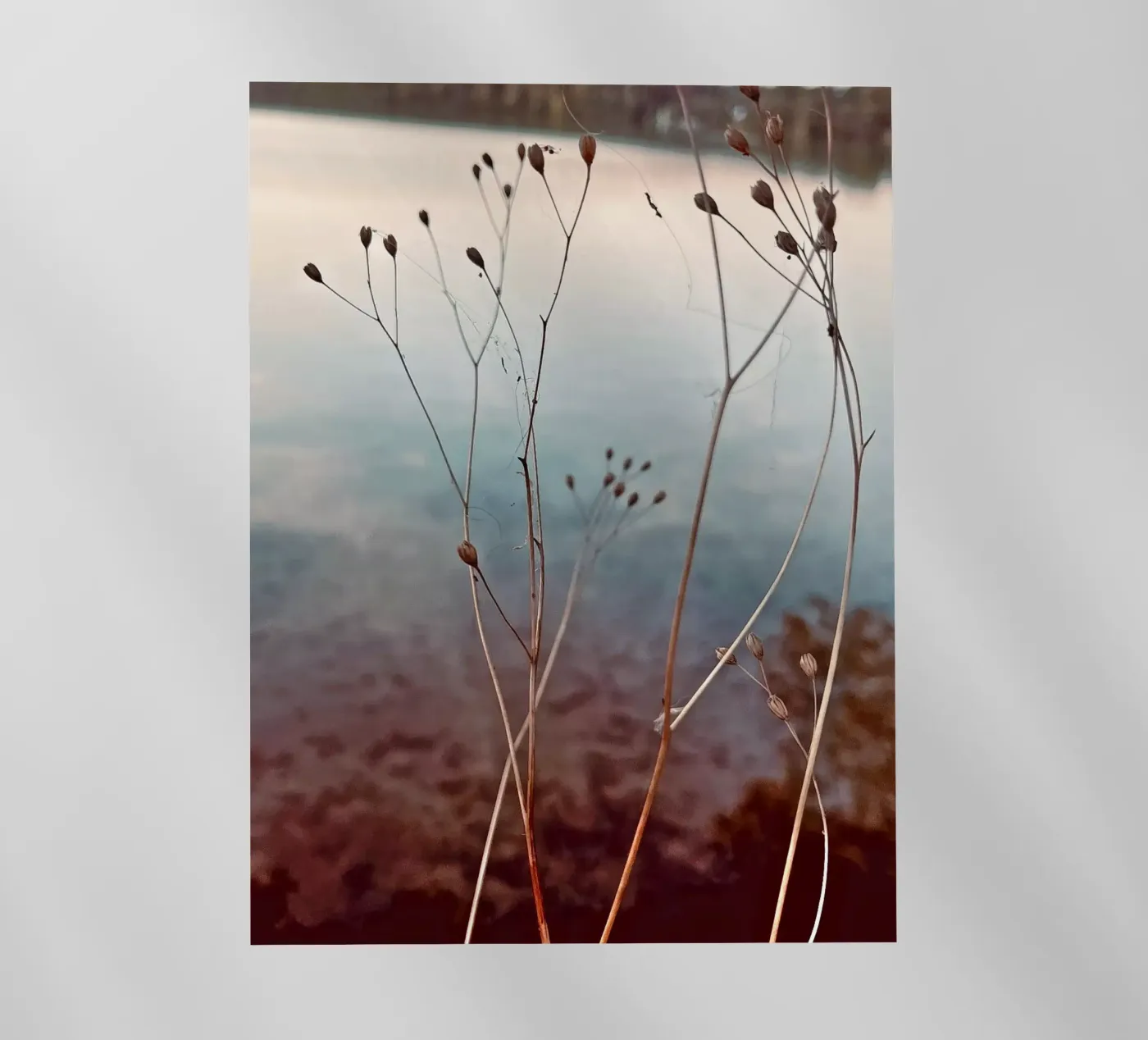 Uckermark pellicola backlit da Sara Rosenbaum