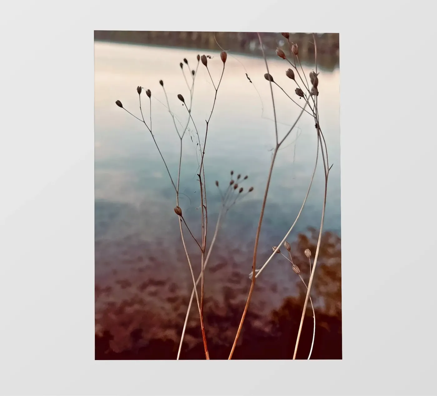 Uckermark pellicola backlit da Sara Rosenbaum