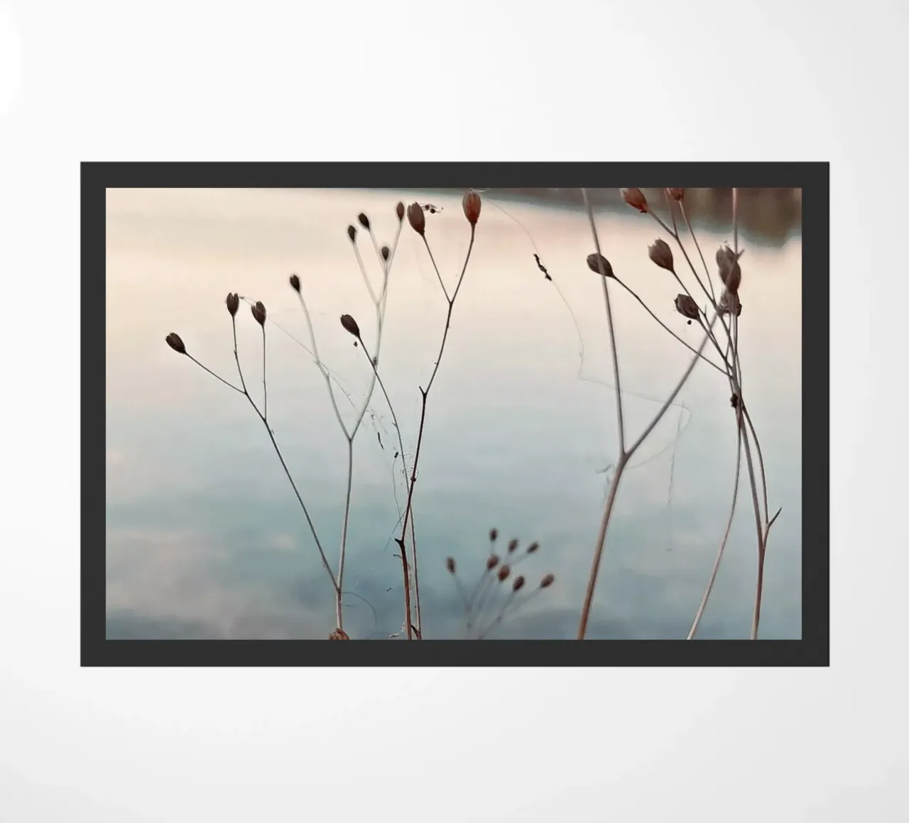 Uckermark zerbino da SaraRosenbaum