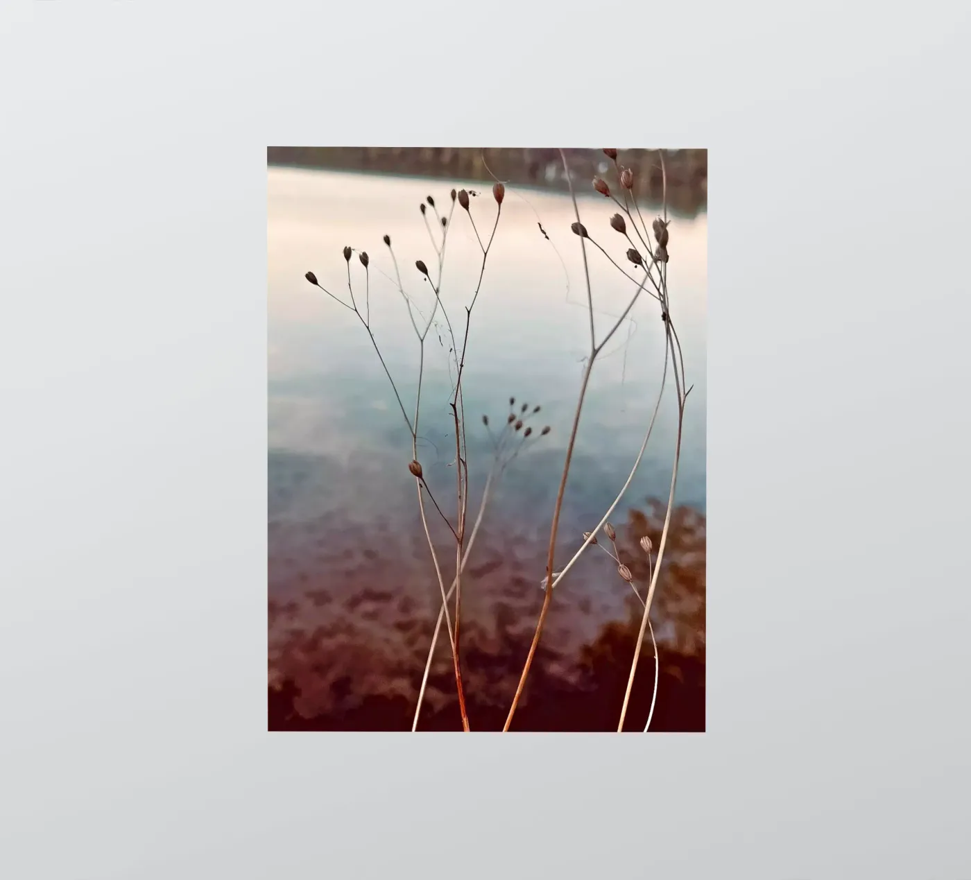 Uckermark sticker by SaraRosenbaum
