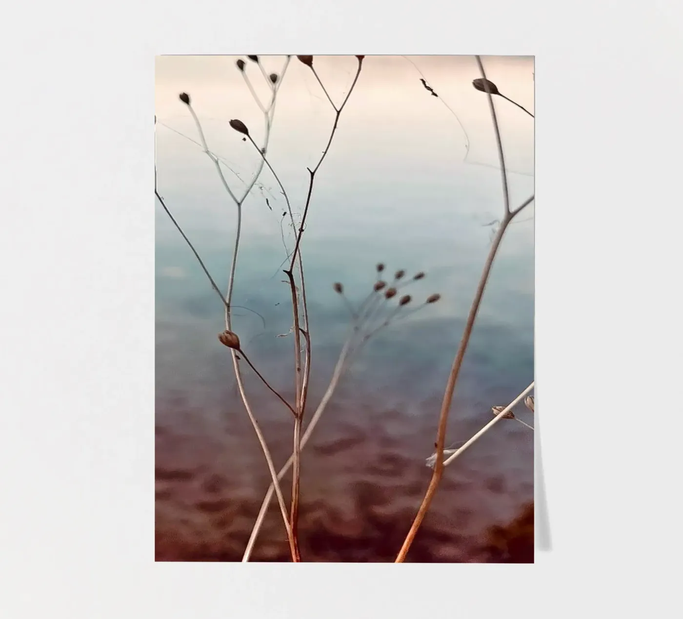 Uckermark sticker sheet by Sara Rosenbaum