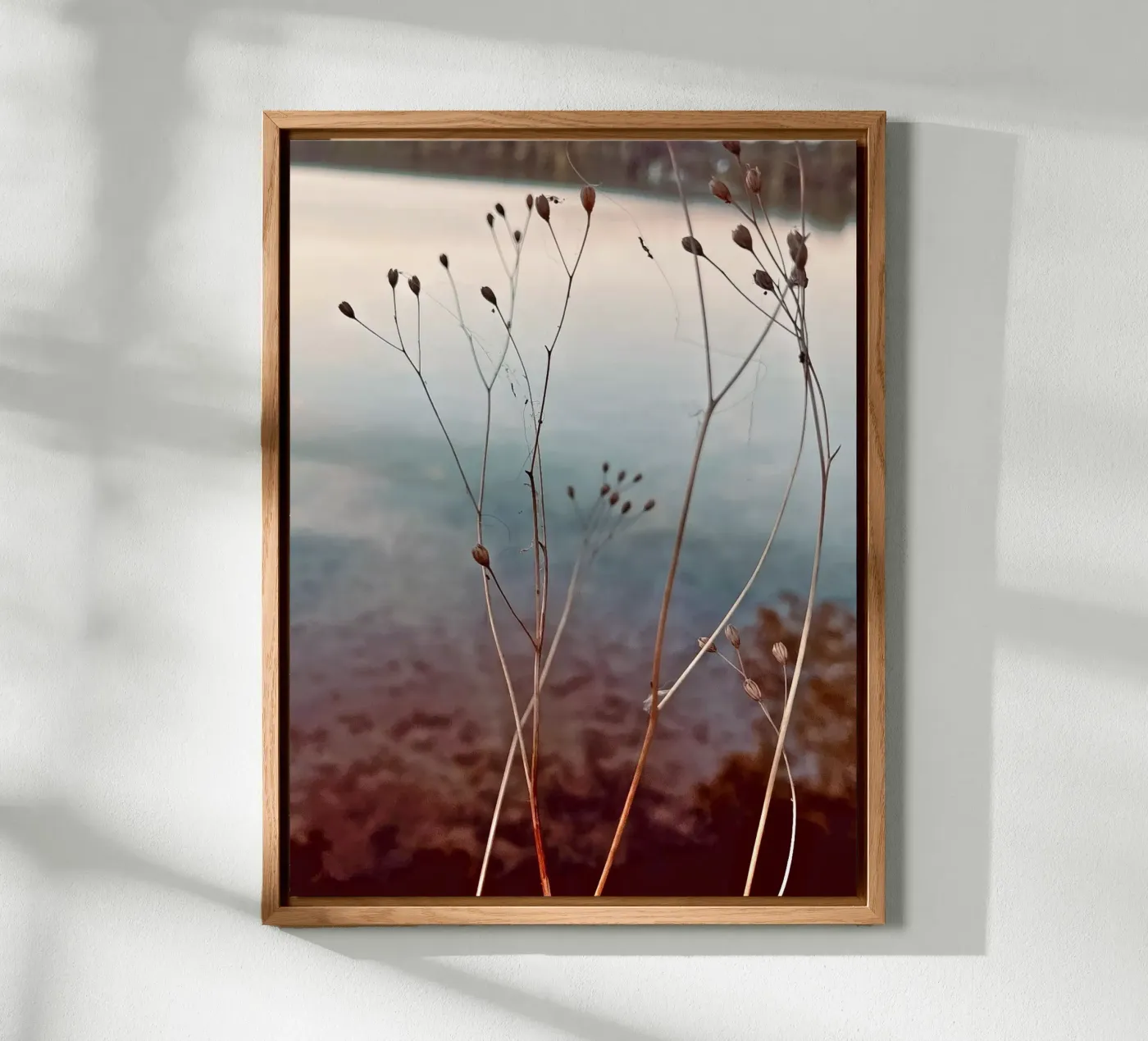 Uckermark pannello forex da SaraRosenbaum