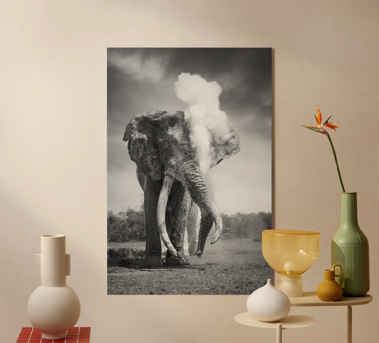 Dust Explosion plexiglass da Pictufy Photography